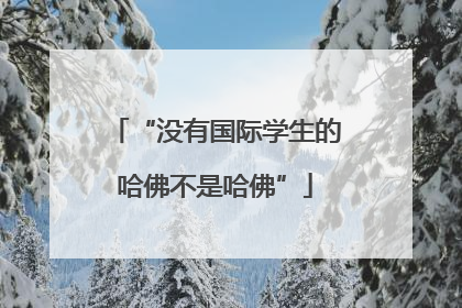 “没有国际学生的哈佛不是哈佛”